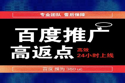 百度推广实战技巧：案例详解